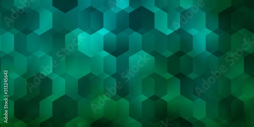 Light Green vector background with hexagons.
