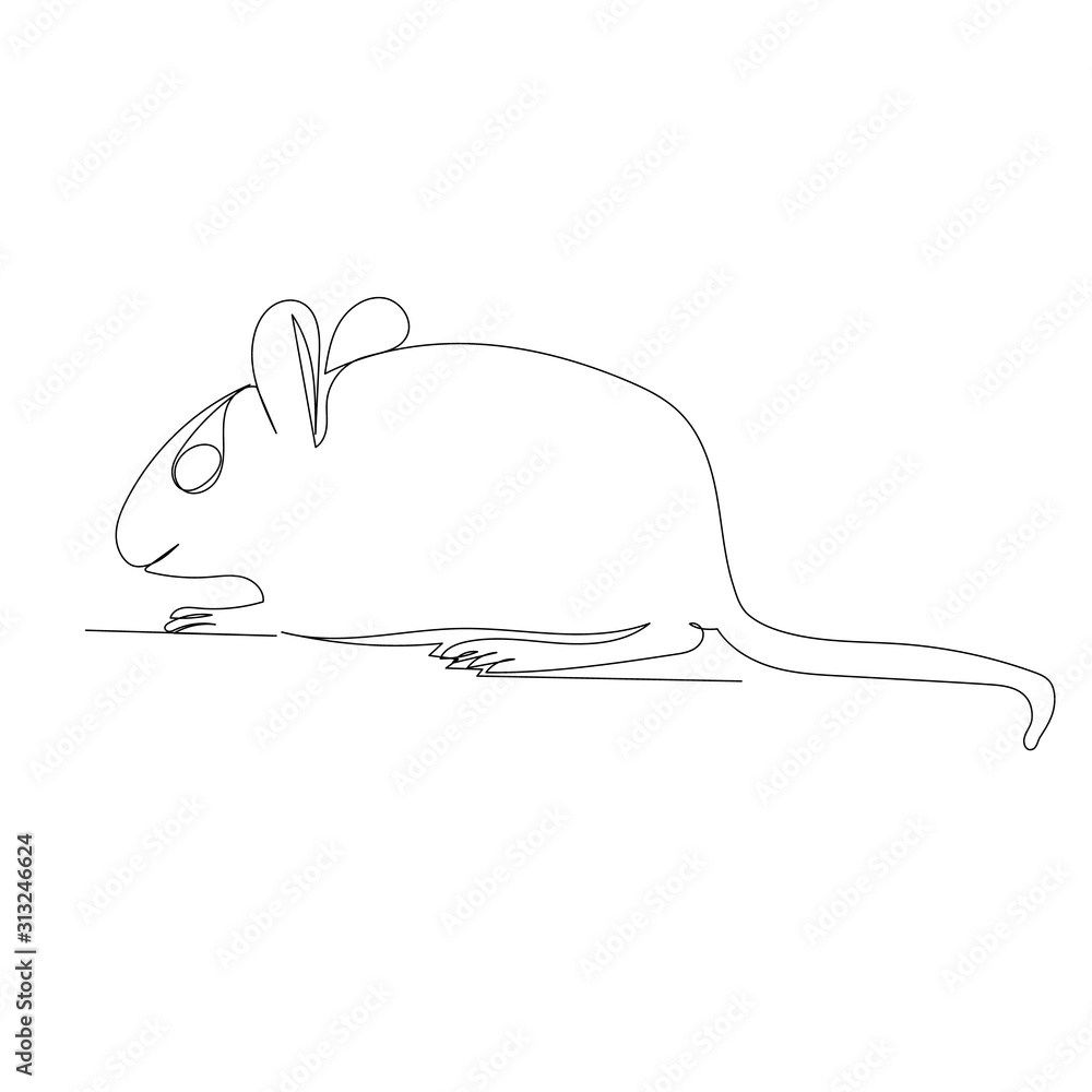vector, isolated, simple drawing with a continuous line mouse, rat vector, isolated, simple drawing with a continuous line mouse, rat