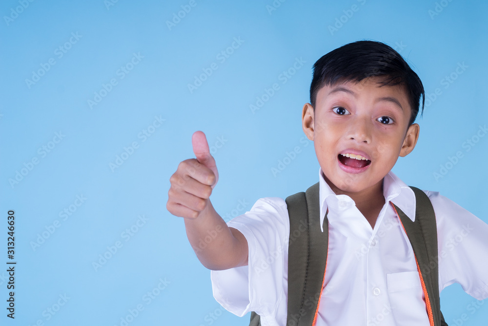 An ecstatic Asian school boy wearing white shirt and blue pants and backpack over blue background smiling cheerfully. Back to school concept. Isolated. Landscape orientation. An ecstatic Asian school boy wearing white shirt and blue pants and backpack over blue background smiling cheerfully. Back to school concept. Isolated. Landscape orientation.