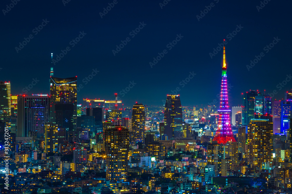 Fototapeta premium 東京の夜景