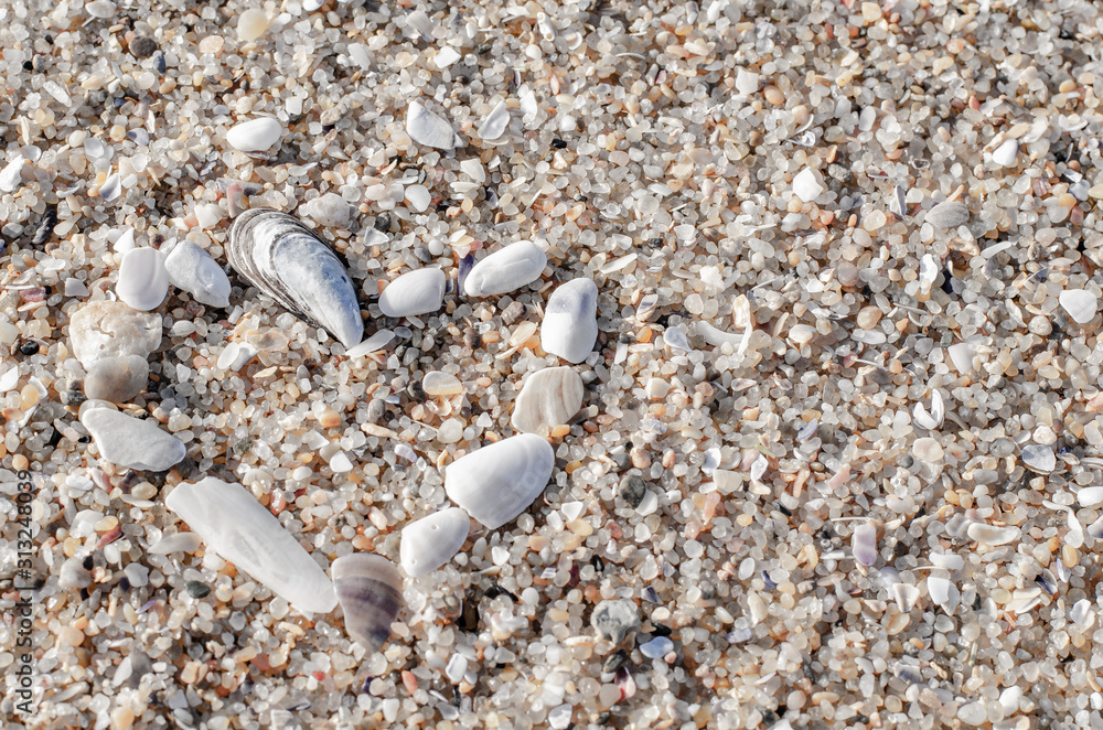Heart made of shells on the sand at the beach. Valentine's Day. Background. Close up.