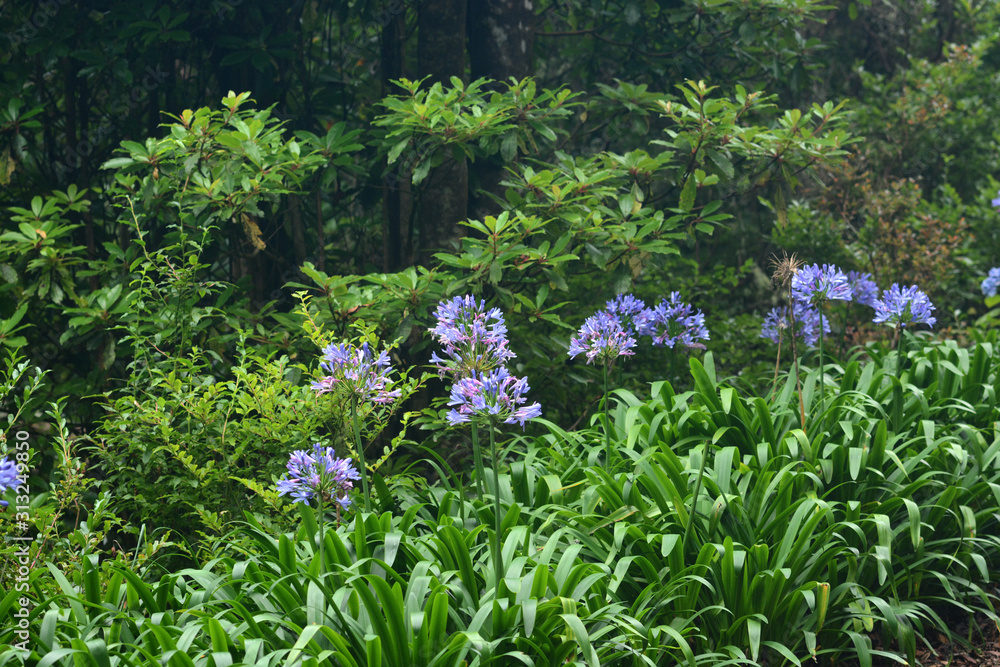 visiting the waterfalls and levadas of Madeira, Portugal visiting the waterfalls and levadas of Madeira, Portugal
