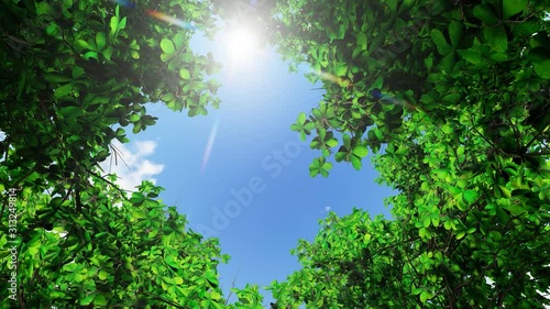 Sun shine through the blowing on wind tree green leaves, 3D Rendering