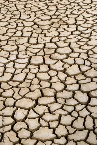 Close-up view of cracked mud