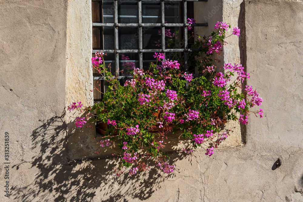 Alto Adige Sunny day outdoor