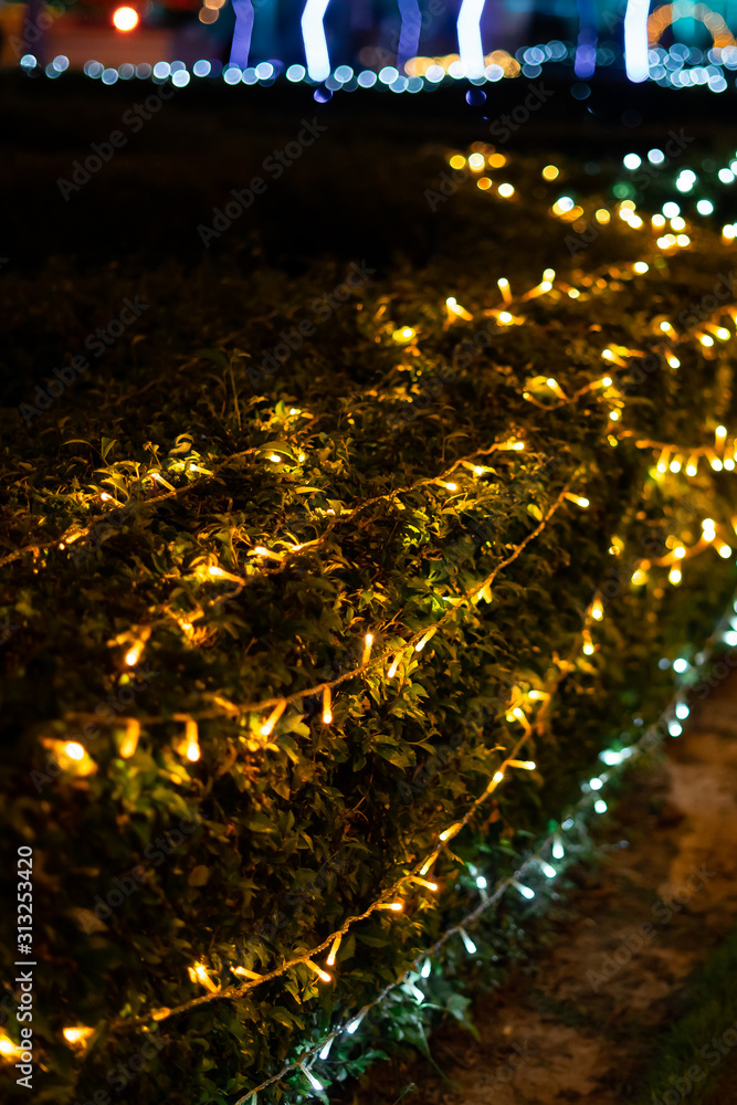 decoration light christmas celebration on garden bushes, abstract image blurred defocused background