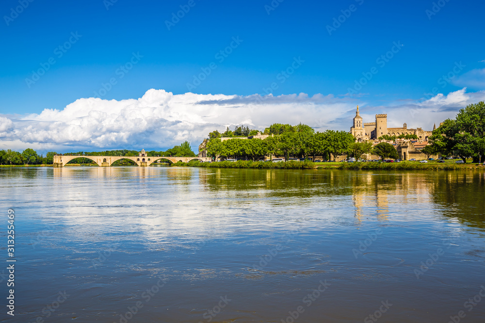 Fototapeta premium Avignon Cathedral And Rhone River - Avignon,France