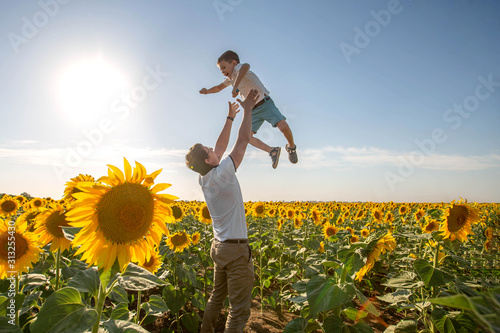 Obraz na plátně A brave father throws up his cute little son in a sunflower field