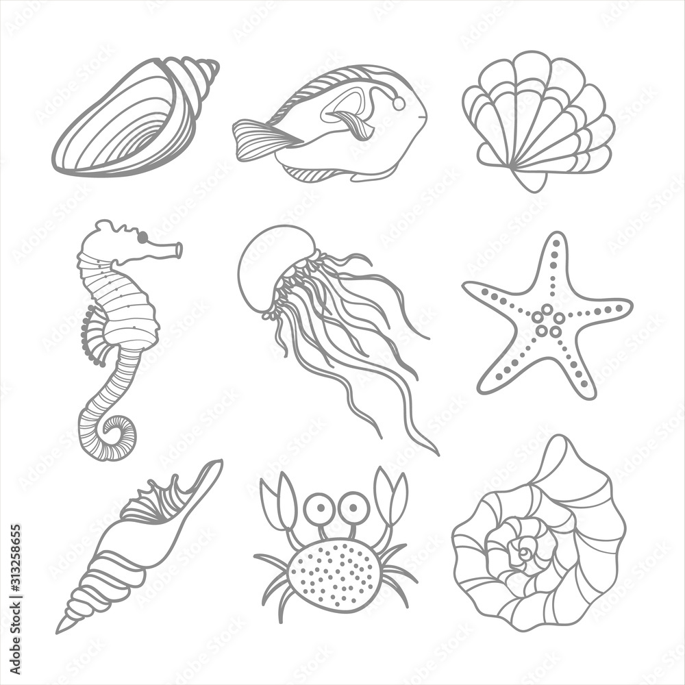 Set of shells and sea animals
