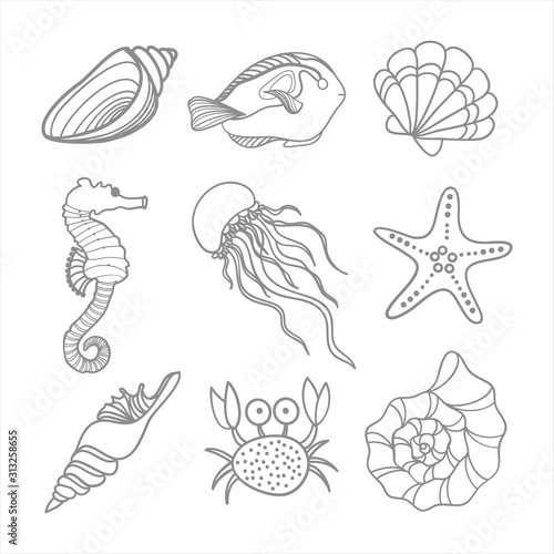 Set of shells and sea animals