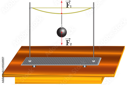 A physical experiment demonstrating the action of elasticity as a reaction to the gravity of the earth.