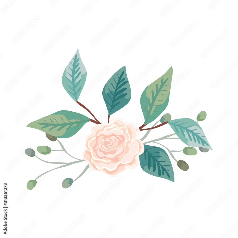 cute rose with branches and leafs natural vector illustration design