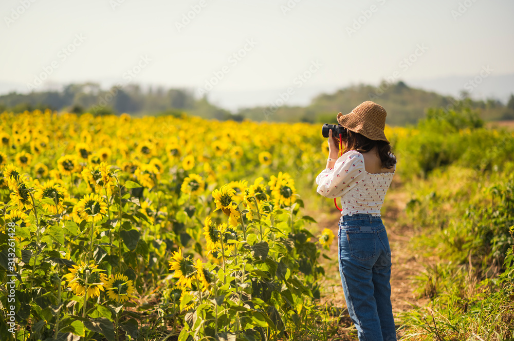 Young woman take a photo in the sunflowers field and grass field on background of the blue sky Young woman take a photo in the sunflowers field and grass field on background of the blue sky