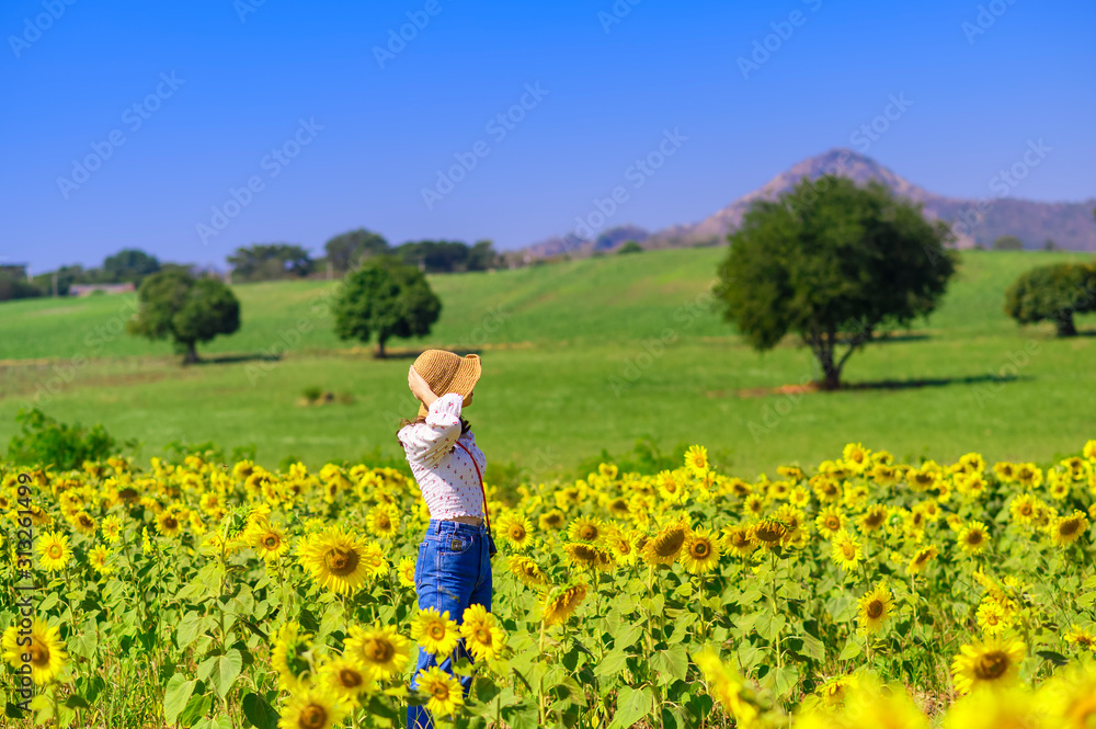 Young woman in the sunflowers field and grass field on background of the blue sky Young woman in the sunflowers field and grass field on background of the blue sky