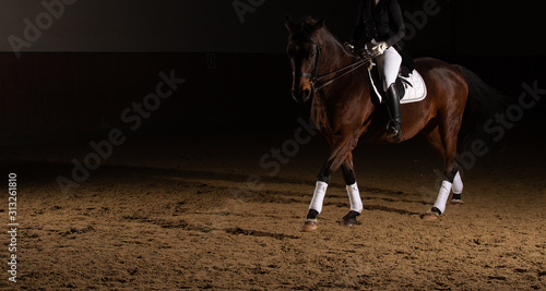 Dressage horse (arranged on the right with copy space) under a rider in the riding hall, photographed with flash, in the gait Travers..