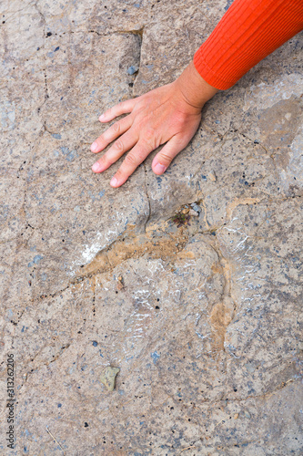 Ichnite, a fossilised footprint, Yacimiento La Cela, Muro en Cameros, Cameros, La Rioja, Spain, Europe photo