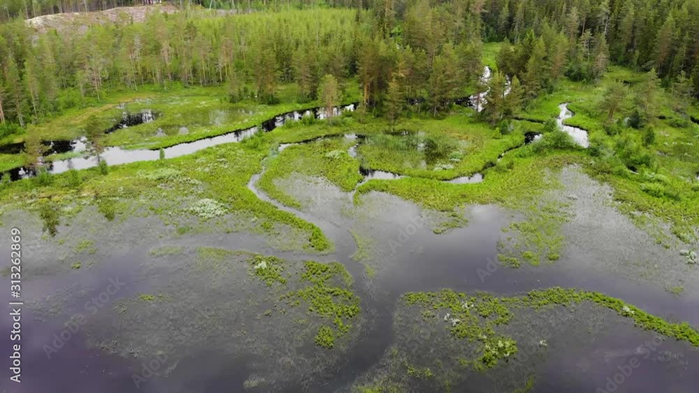 Drone aerial view of small lake and river overgrown with waterplants in pine tree forest in Dalarna county, Vansbro municipality in Sweden Drone aerial view of small lake and river overgrown with waterplants in pine tree forest in Dalarna county, Vansbro municipality in Sweden
