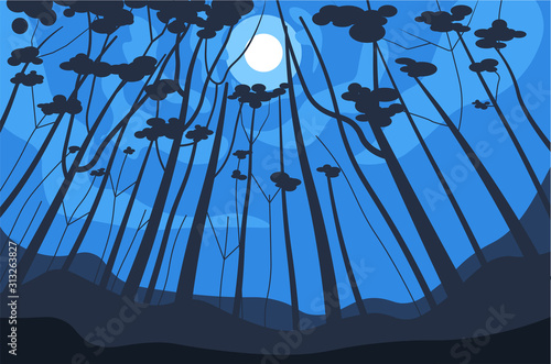 Forest night landscape, trees and moon in sky, wild woods