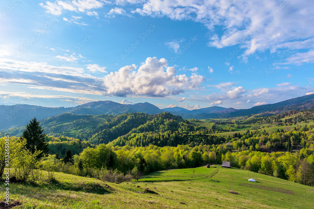 Carpathians countryside in springtime. wonderful sunny weather with dynamic cloud formations on the blue sky. forested rolling hill with rural fields in evening light. Carpathians countryside in springtime. wonderful sunny weather with dynamic cloud formations on the blue sky. forested rolling hill with rural fields in evening light.