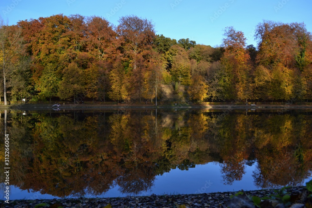 Reflection of autumn trees in the water