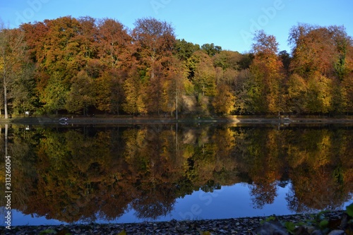 Reflection of autumn trees in the water