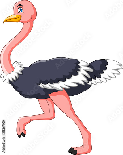 Cartoon Cute ostrich cartoon running