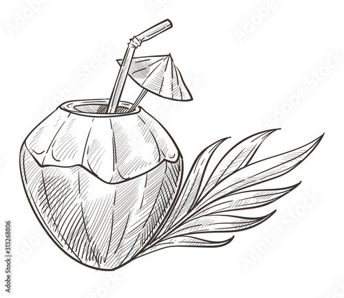 Coconut cocktail isolated sketch, drink in nut shell