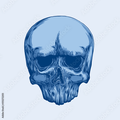Anatomic Skull Vector Art. Detailed hand-drawn illustration of skull with open mouth. Grunge weathered illustration. Vector art. tattoo design.