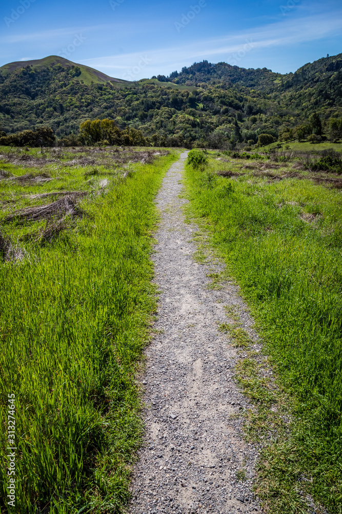 Dirt path with bright green grass on both sides cuts through the middle of the picture and heads towards tree covered hills at Sugarloaf Ridge State Park Dirt path with bright green grass on both sides cuts through the middle of the picture and heads towards tree covered hills at Sugarloaf Ridge State Park