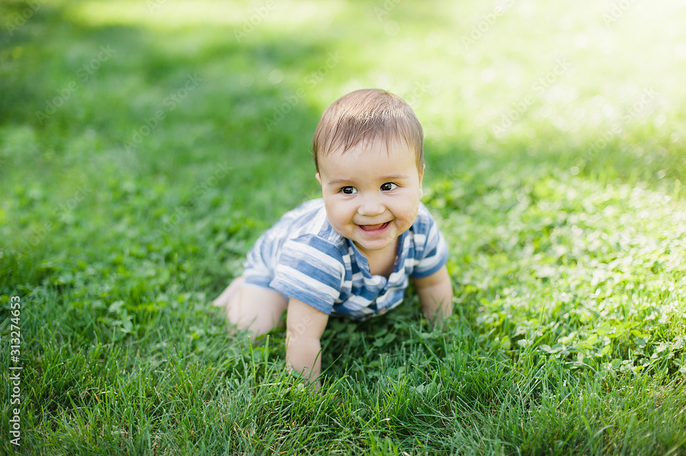 7 month child crawls on grass in yard, 7 month child crawls on grass in yard,