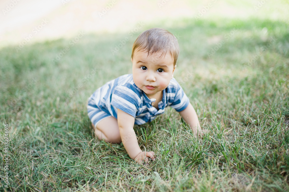 7 month child crawls on grass in yard, 7 month child crawls on grass in yard,