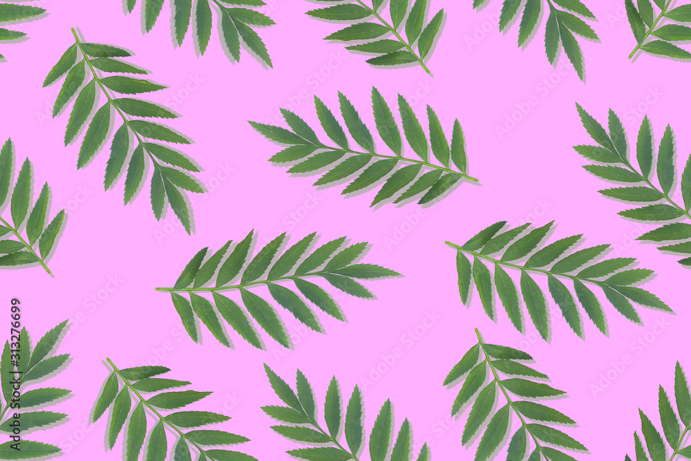 Green leaves pattern on pink background. Flat lay.