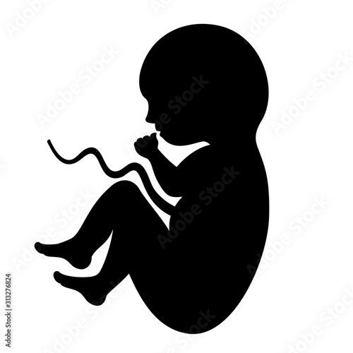 Embryo vector icon