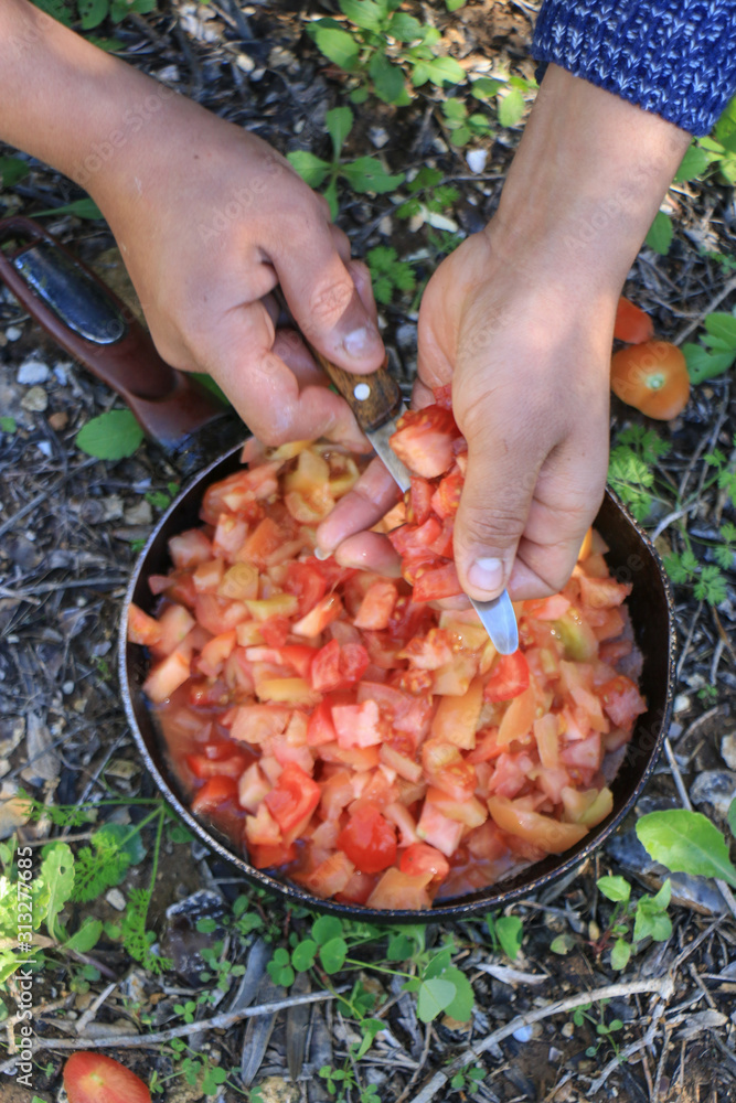 Frying tomatoes in nature