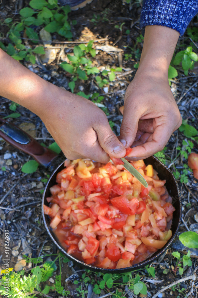 Frying tomatoes in nature