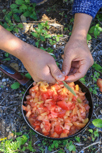 Obraz na płótnie Frying tomatoes in nature w salonie