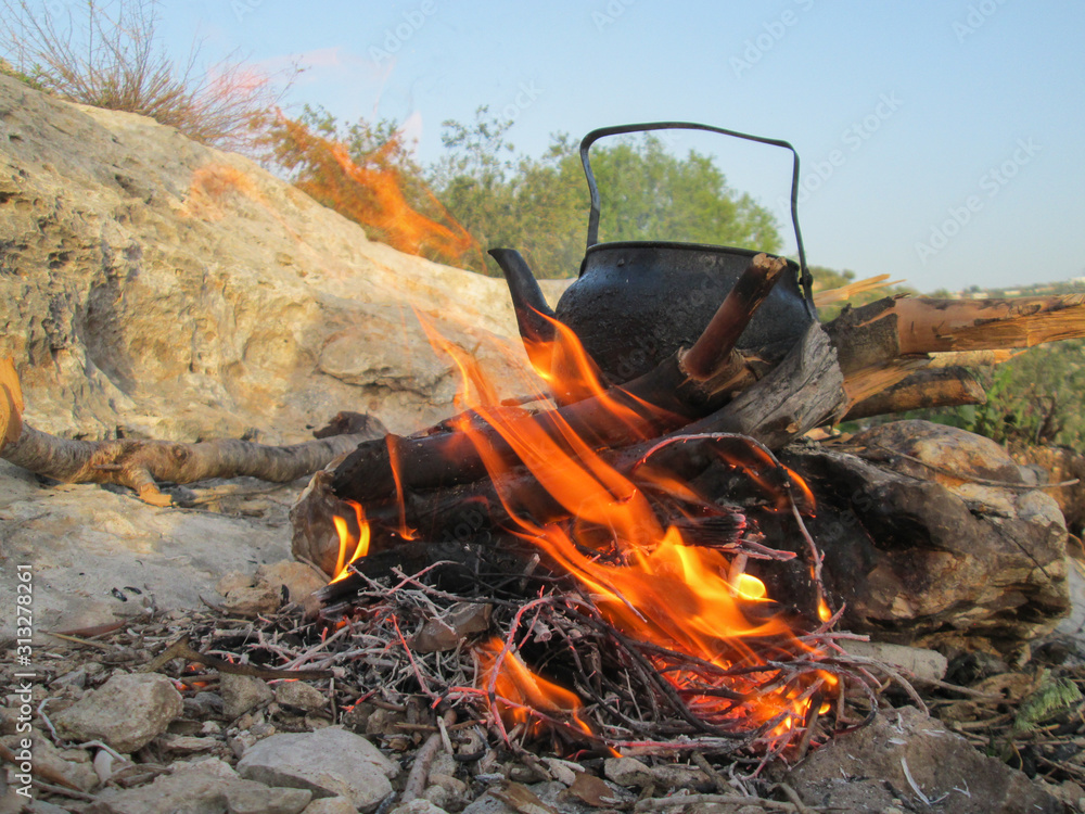 A teapot on the Firewood in nature