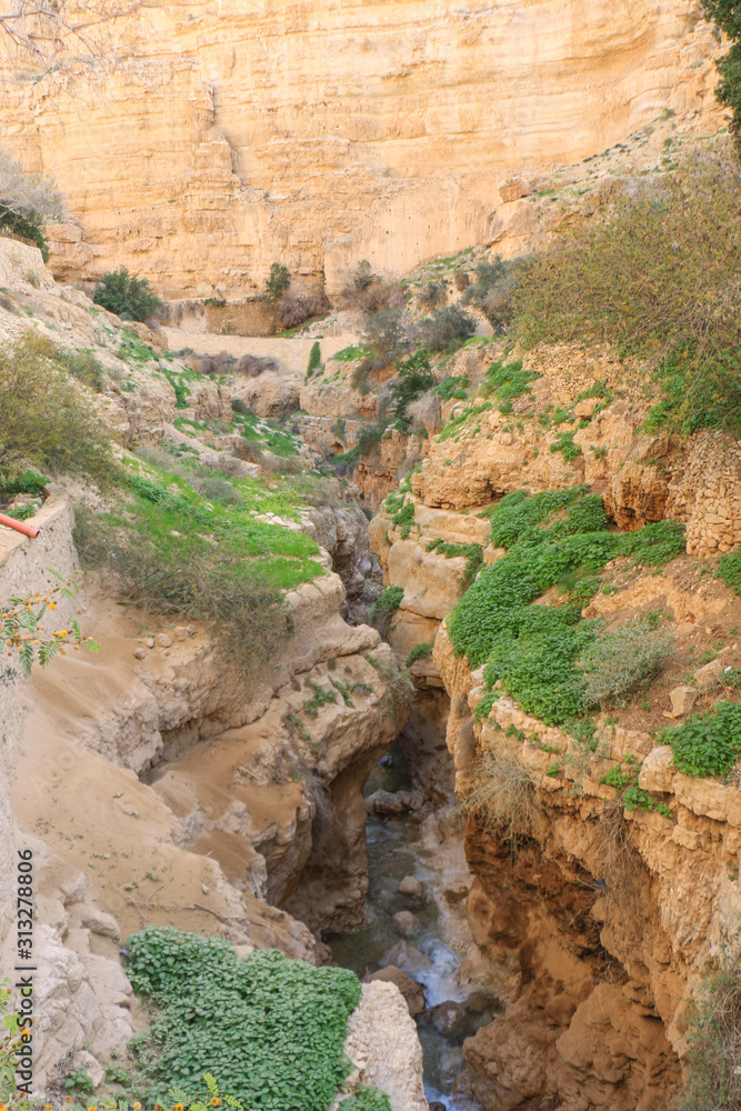 Wadi Qallat in Jericho Palestine