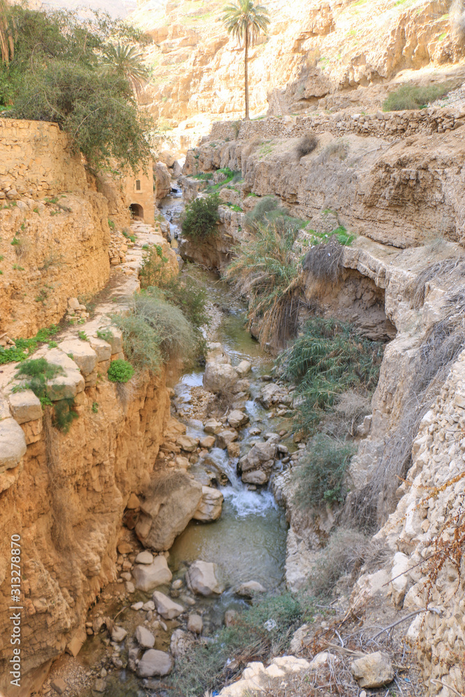 Wadi Qallat in Jericho Palestine