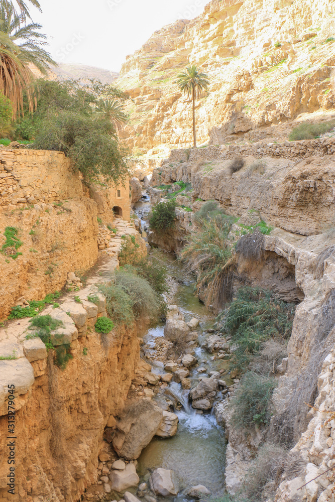 Wadi Qallat in Jericho Palestine