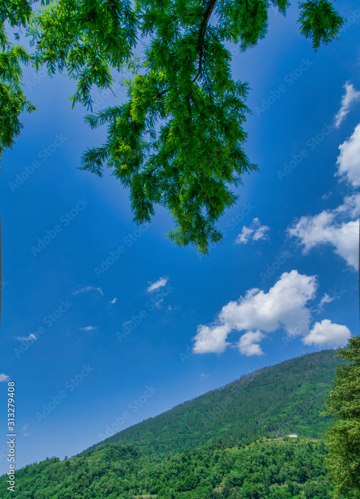 Obraz premium Blauer Himmel