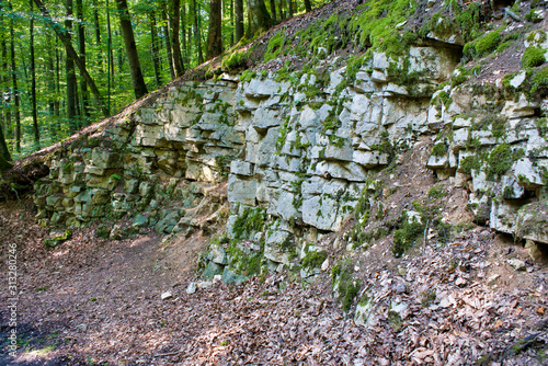 Steinmauer inmitten eines Waldes.