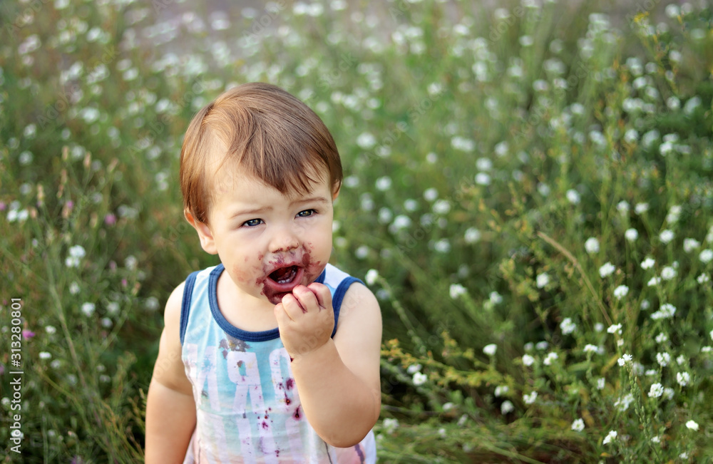 Close up portrait of cute little child with mouth smeared with berries juice eating mulberry. Summer lifestyle, agritourism. Copy space Close up portrait of cute little child with mouth smeared with berries juice eating mulberry. Summer lifestyle, agritourism. Copy space