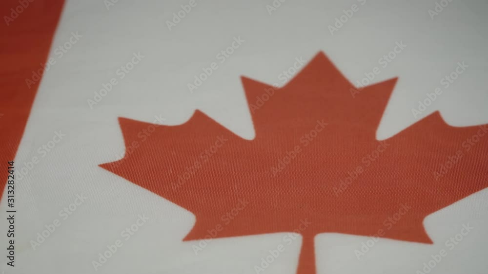 Canada state symbol in form of eleven-pointed red maple leaf on white square extreme close view Canada state symbol in form of eleven-pointed red maple leaf on white square extreme close view