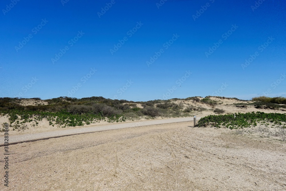 Dutch dunes landscape