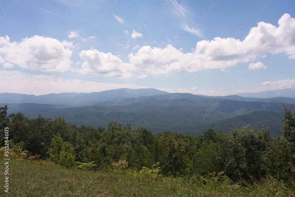Fototapeta premium Great Smoky Mountains