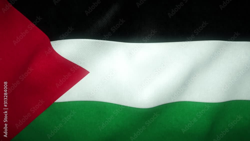 flag of palestine waving in the wind flag of palestine waving in the wind