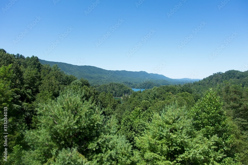 Naklejka premium Great Smoky Mountains