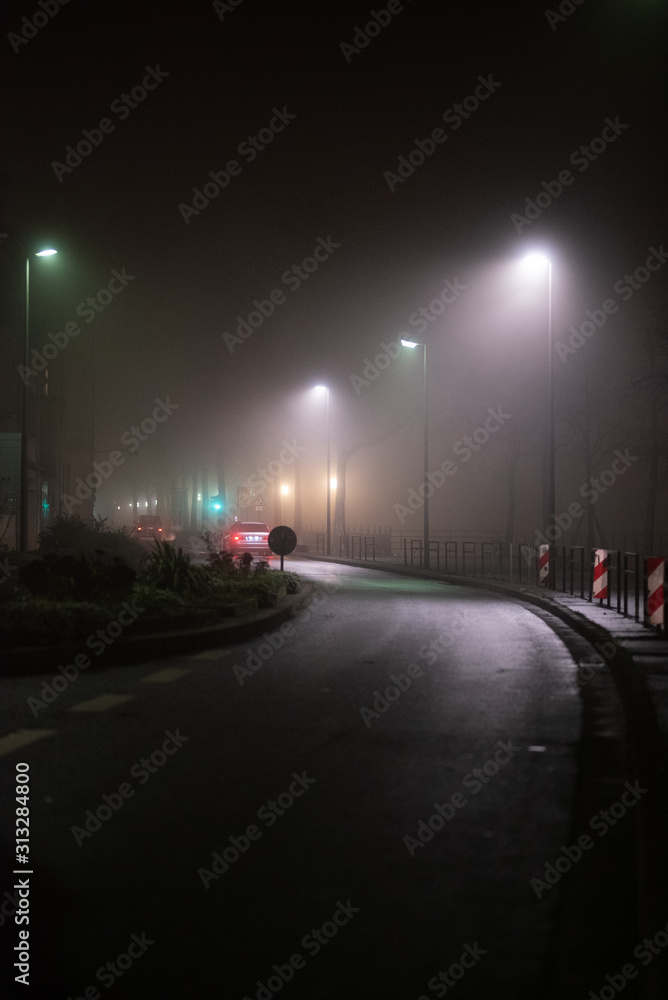 Straße, Alee im Nebel, Lichtstimmung