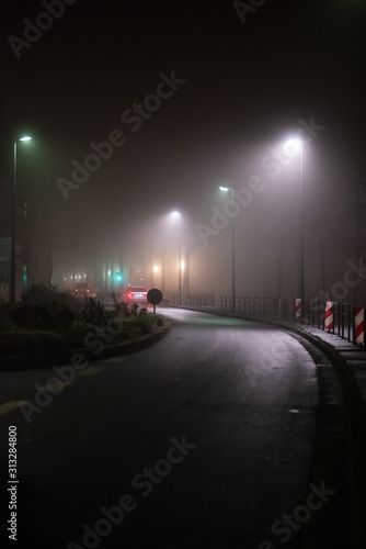 Obraz na płótnie Straße, Alee im Nebel, Lichtstimmung w salonie